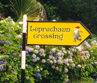 Leprechaun crossing
